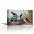 thumbnail image 1 of Shoveller Duck - Contemporary Fine Art Giclee on Canvas Gallery Wrap - wall décor - Art painting - 36 x 24 Inch - Ready to Hang, 1 of 2