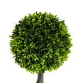 thumbnail image 6 of Christopher Knight Home 34" Topiary Boxwood Tree in Black Plastic Pot, Pre-Potted Faux Greenery Tree for Home Decor, Set of 2, 6 of 10