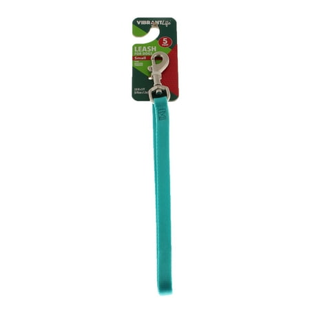 Kennel Leash - Vibrant Life Teal Dog Leash, Small, 5 ft, 3/8 in