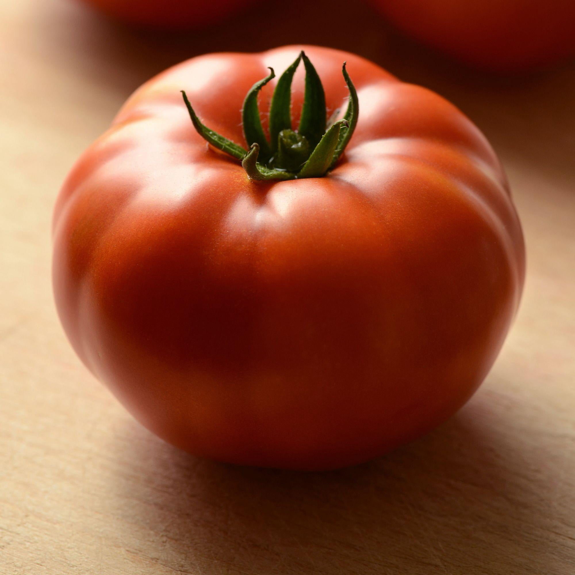 Bonnie Plants Genuwine Beefsteak Tomato 19.3oz. 2-Pack Live Plants