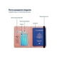 thumbnail image 4 of Porta Pasaporte Bluelander con Protección RFID Champagne CBHH-0140, 4 of 4