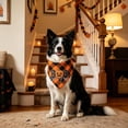 thumbnail image 5 of Gardjoe Not only does this Halloween pet bandana add spooky festive style to your dog or cat, but it also provides comfortable breathable wear that pets love all season long, 5 of 6