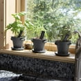 Window Garden Growing OIF8 Kit Grow an Indoor Kitchen Windowsill