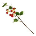 thumbnail image 1 of unbranded Simulada De Frambuesas En Material Plástico Para Bodegones Y Mesas, 1 of 8