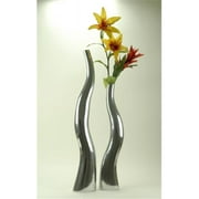 Modern Day Accents 6586 Alum Tall Wiggly Vases - Set of 2