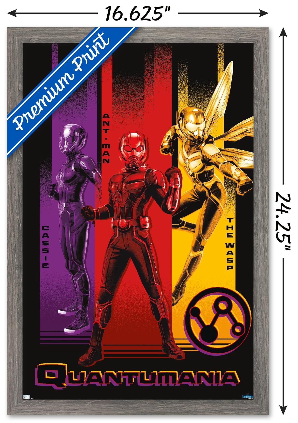 Marvel Ant-Man And The Wasp: Quantumania - Trio Wall Poster, 14.725" x 22.375" Framed