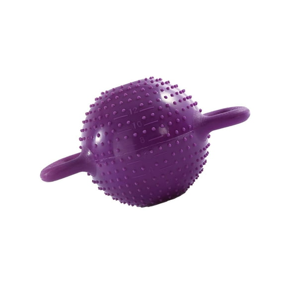 Kettlebells de Yoga Shamjiam Pesas Rusas de Doble Oreja Violeta