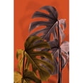 thumbnail image 3 of 1x Studio III 11x14 Black Modern Framed Museum Art Print Titled - Monstera Orange 02, 3 of 5
