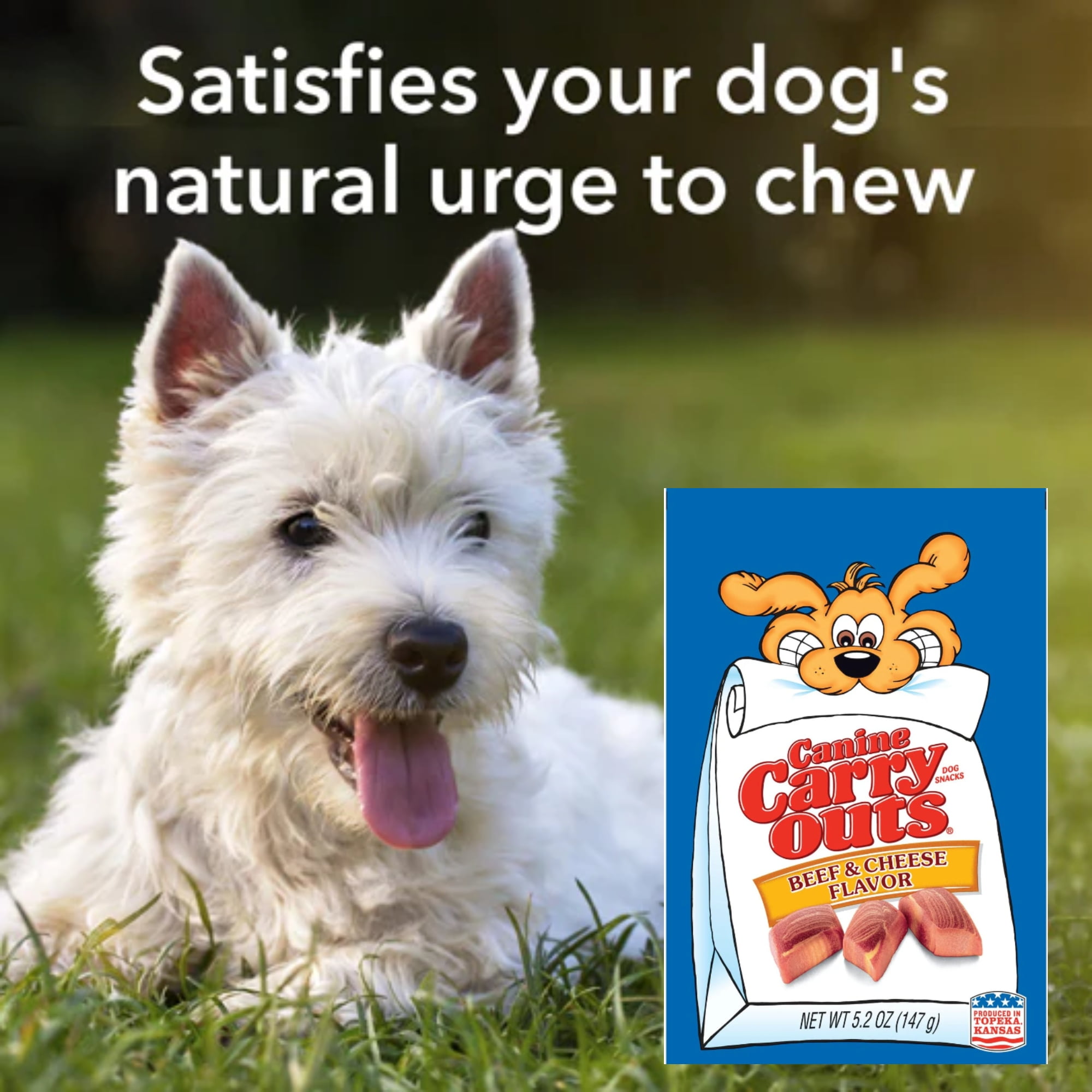 Canine Carry Outs Beef & Cheese Flavor Dog Snacks with Delicious Aroma & Soft Texture for Pup Treats Snackings Treating Training Goodies for All Dog Sizes Convenient & Resealable Bags 5.2oz Pack of 4
