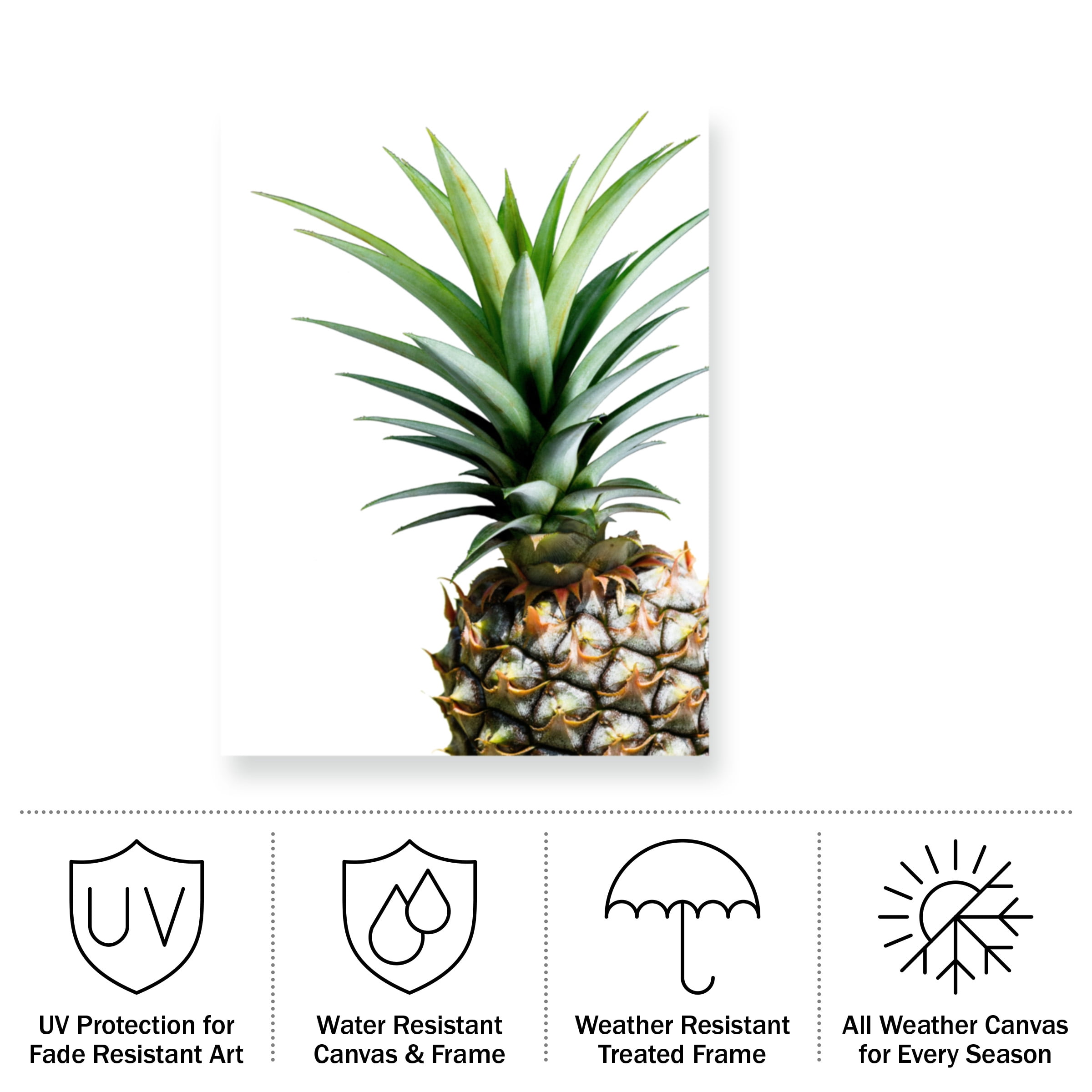 Lexie Greer 'Pineapple (color)' Outdoor Canvas