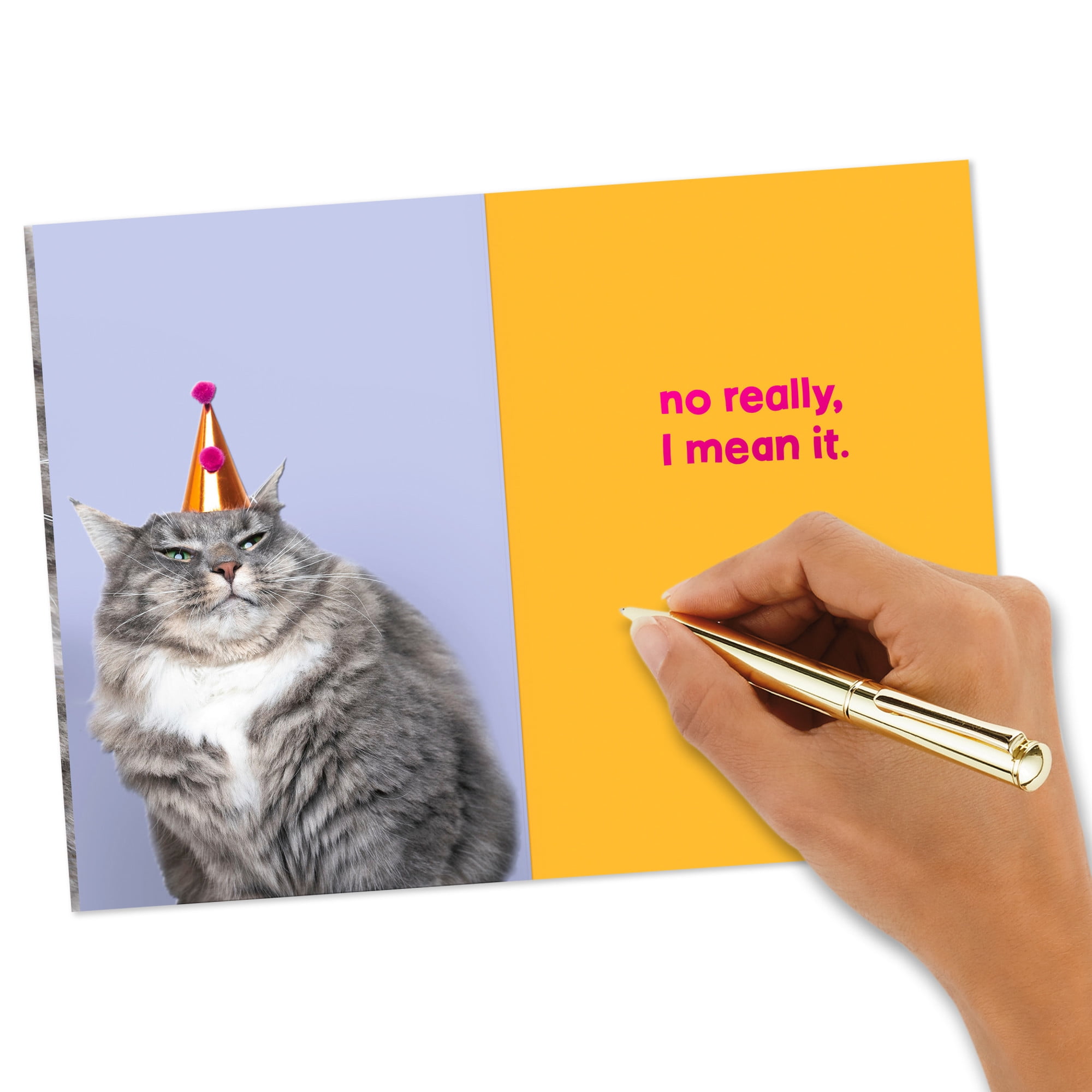 Hallmark Funny Birthday Card (Grouchy Cat)