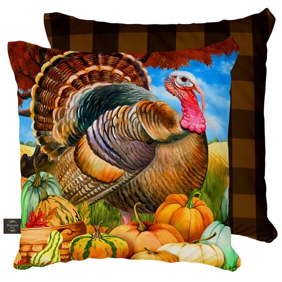 Briarwood Lane Fall Thanksgiving Indoor/Outdoor Pillow 17x17 Turkey and Pumpkins For Thanksgiving Pillow