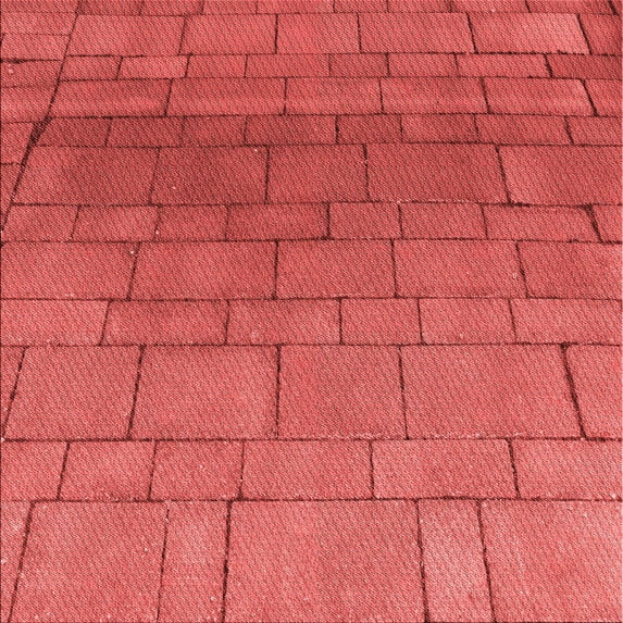 Ahgly Company Machine Washable Indoor Square Transitional Red Area Rugs, 6' Square
