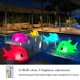thumbnail image 5 of Lámpara inflable con forma de delfín, luz para piscina, decoración para césped y playa (1 ud.), 5 of 5