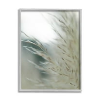 Stupell Industries Tranquil Wheat Pampas Grass Photography Photograph Gray Framed Art Print Wall Art, Design by Jason Johnson