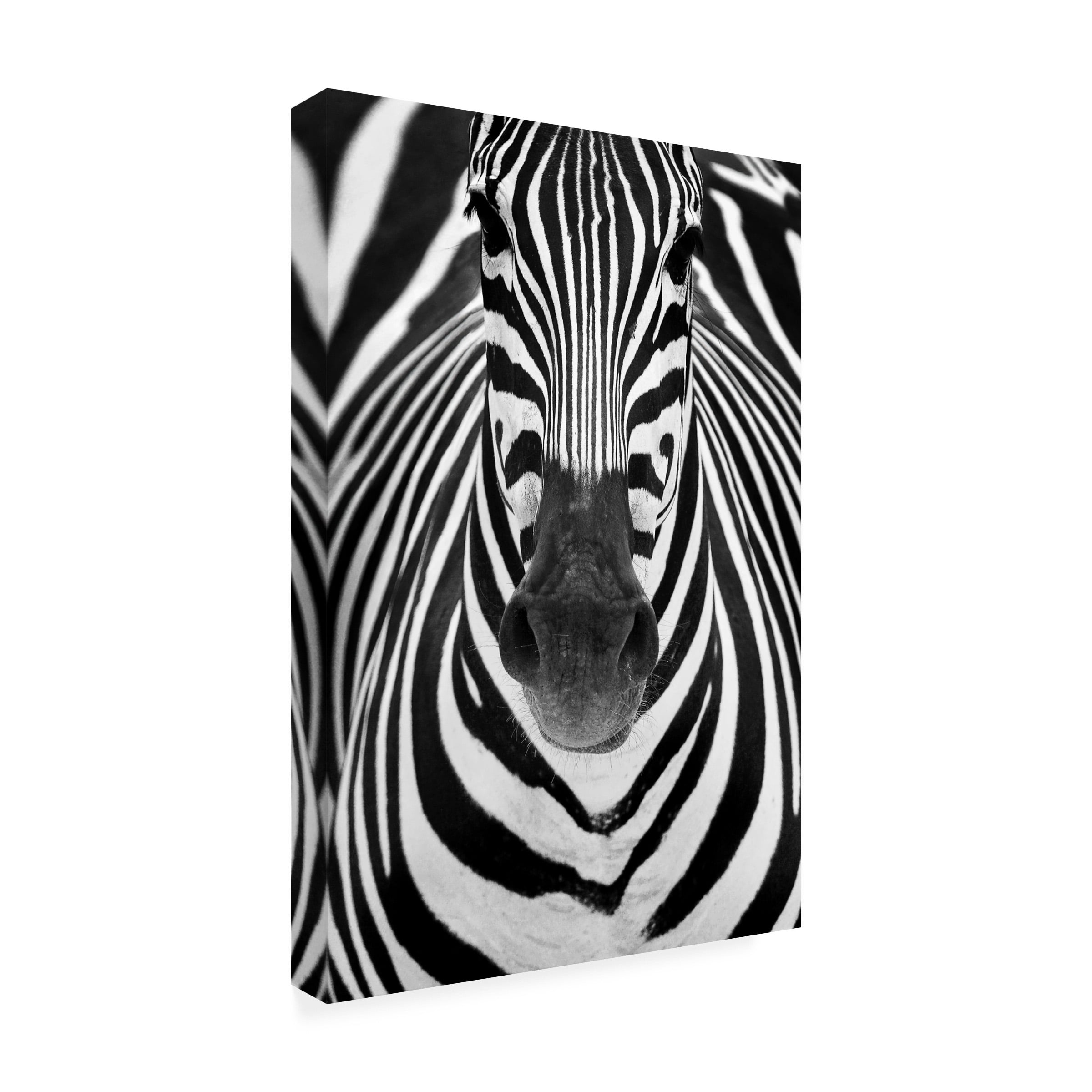 Canvas Wall Art - Juan Luis Duran 'Zebra' Wall Art for Living Room, Bedroom, or Office DÃ©cor by Trademark Fine Art - 22 x 32 Inches