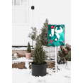 thumbnail image 4 of Christmas Yard Signs with Metal Stakes, 8×12 Inch Christmas Decorations Outdoor Yard, Joy To The World Holiday Xmas Garden Yard Supplies for Winter Party Outdoor Front Yard Lawn, 4 of 6