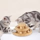 thumbnail image 3 of Juguetes de bolas de pista para gatos, juguete para gatos con rodillo de bambú de doble capa co CACAGOO Tocadiscos de pista, 3 of 7