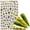 P, variant on Adhesive Straps Nail Stickers Decorative Manicure