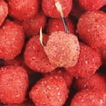 thumbnail image 1 of Cebos De Pesca Cebos de pesca de gran alcance, señuelos de atracción de peces portátiles para carpa (grano grande) Tmvgtek Para Estrenar, 1 of 6