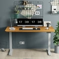 Furmax 55" x 24" Home Office Electric Height Adjustable Standing Desk