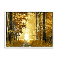 Stupell Industries Autumn Path Landscape Nature Painting White Framed Art Print Wall Art, 20 x 16