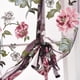 thumbnail image 5 of Cortina de ventana romana con flor de peonía transparente para cocina, cenefa, cortinas de gasa semitransparentes, tratamiento de ventana Advancent JJ23234-04, 5 of 6