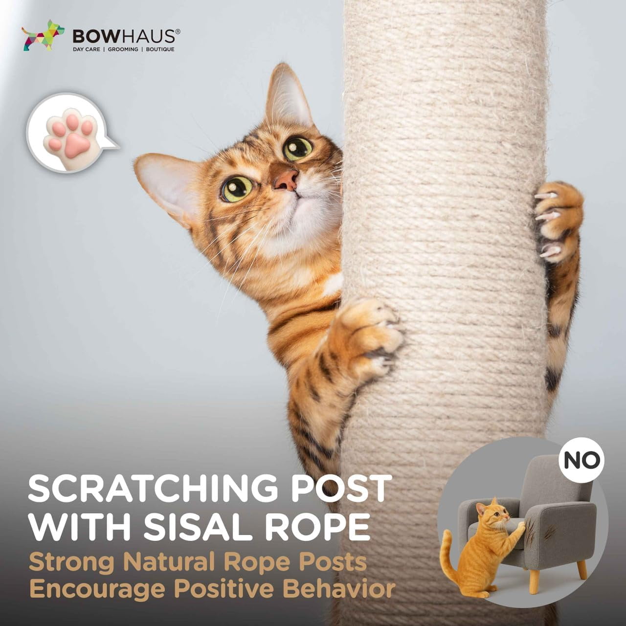 CAPHAUS Lady Bug-Style Cat Scratching Post, Cat Scratcher with Sisal Rope and Interactive Hanging Ball, 10 Inch Scratching Post for Indoor Cats and Kittens