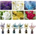 thumbnail image 2 of 50ml Glass Diffuser Plant Rattan Deodorizing Decorative Odor Removal Dry Flower Flameless Aromatherapy Ornament Bathroom Supply, 2 of 10