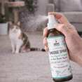 thumbnail image 3 of White Sage and Eucalyptus Soul Sticks Smudge Spray for Cleansing Negative Energy and Purifying Home | Made with White Sage and Quartz Crystals | 3.5 oz. Bottle, 3 of 4