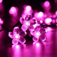 thumbnail image 1 of Dinheiro Linterna solar, 23 pies/7M 50LED Flor de melocotón Luces decorativas solares de cadena para jardín al aire libre, 1 of 5