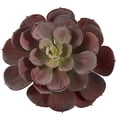 thumbnail image 3 of Nearly Natural 6" Plastic/Polyester Echeveria Succulent Artificial Plant (Set of 12), Red, 3 of 6