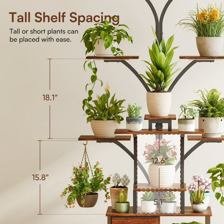 best climbing philodendron Philodendron 'Whipple Way'