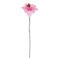 thumbnail image 4 of Plantas en miniatura CUTICAT 12 jarrones para decoración rosa, 4 of 7