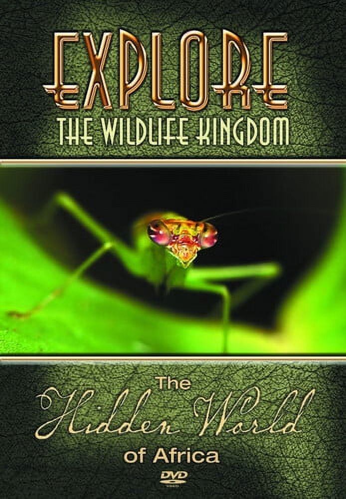 Amazon.com: Explore the Wildlife Kingdom: Cougar - Ghost of