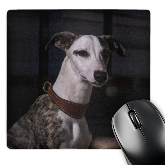 3dRose, Portrait of a Whippet, PR, MousePad