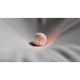 thumbnail image 5 of (2 pack) Wilson 2025 Duo Soft Golf Balls, Orange, 12pk, 5 of 8