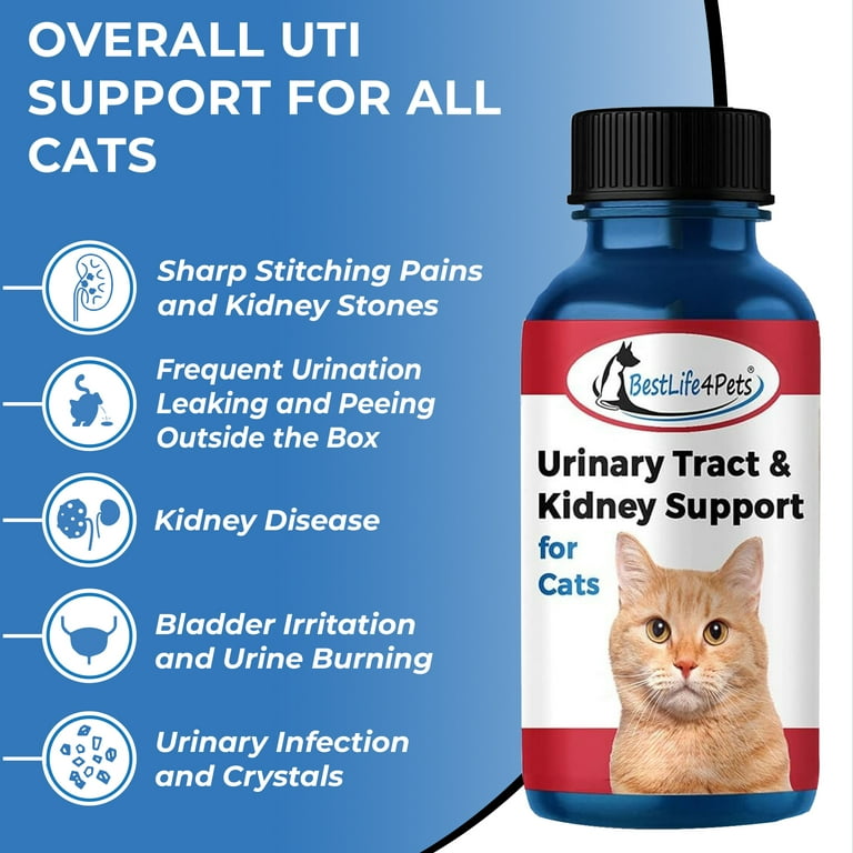 BestLife4Pets Cat UTI Urinary Tract Infection Kidney Support