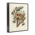 thumbnail image 3 of Stupell Industries Cottage Eggs in Birdnest Study Black Framed Giclee Art, 11 x 14, by Tina Higgins Designs Inc., 3 of 8