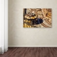 thumbnail image 2 of Trademark Fine Art "Castillo de San Felipe del Morro 18" Canvas Art by CATeyes, 2 of 4