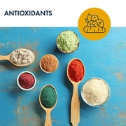 Metabolic Maintenance Vitamin C - 500 mg Vitamin C - Daily Immune & Antioxidant Support - Low-Acidity & Hypoallergenic - 90 Servings - 90 Capsules