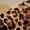 Brown 03, variant on Homewish Cheetah Leopard Print Black Out Curtains for Teen, Vintage Western Fashion Curtains Pack of 2 (42x63 Each), Cow Skeleton Bedroom Curtains, Blackout Curtains Room Decor