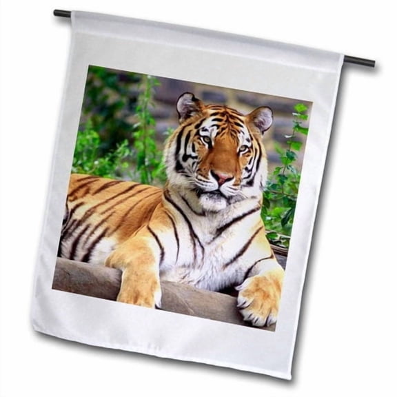 3dRose, Siberian Tiger, 18 x 27 inch Garden Flag
