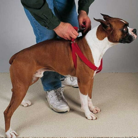 Guardian Gear Nylon 2 Step Harness 15-25in Red