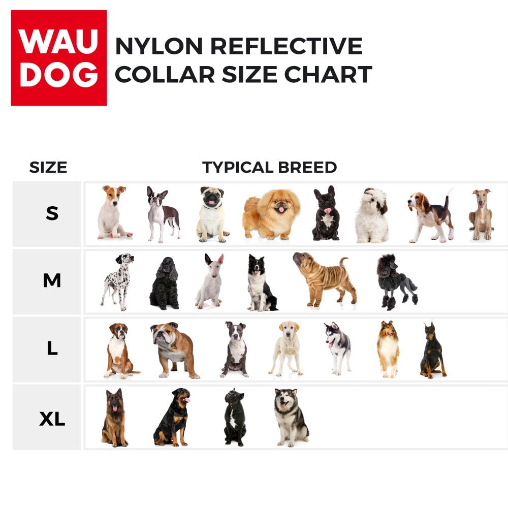 Nylon Reflective Dog Collar | Adjustable Dog Collar for Large, Small & Medium Dogs | Personalized Soft and Fashion Patterns Dog Collars | Boy & Girl Dog Collars with Durable Plastic Buckle - Purple