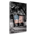 thumbnail image 2 of Tangletown Fine Art 'Made in the USA' Photographic Print on Wrapped Canvas, 2 of 2