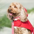 thumbnail image 5 of Hugo & Hudson Fabric Nylon Dog Collar - Red Star - S, 5 of 6