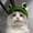 Frog, variant on Cat Hat Cat Costume Bunny Hat with Ears Funny Banana Pineapple Cat Hat for Cats and Small Dogs Kitten Puppy Party Costume Accessory Headwear