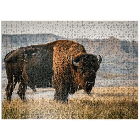 MyPuzzle - American Bison In South Dakota - Premium 500 Piece Jigsaw Puzzle for Adults