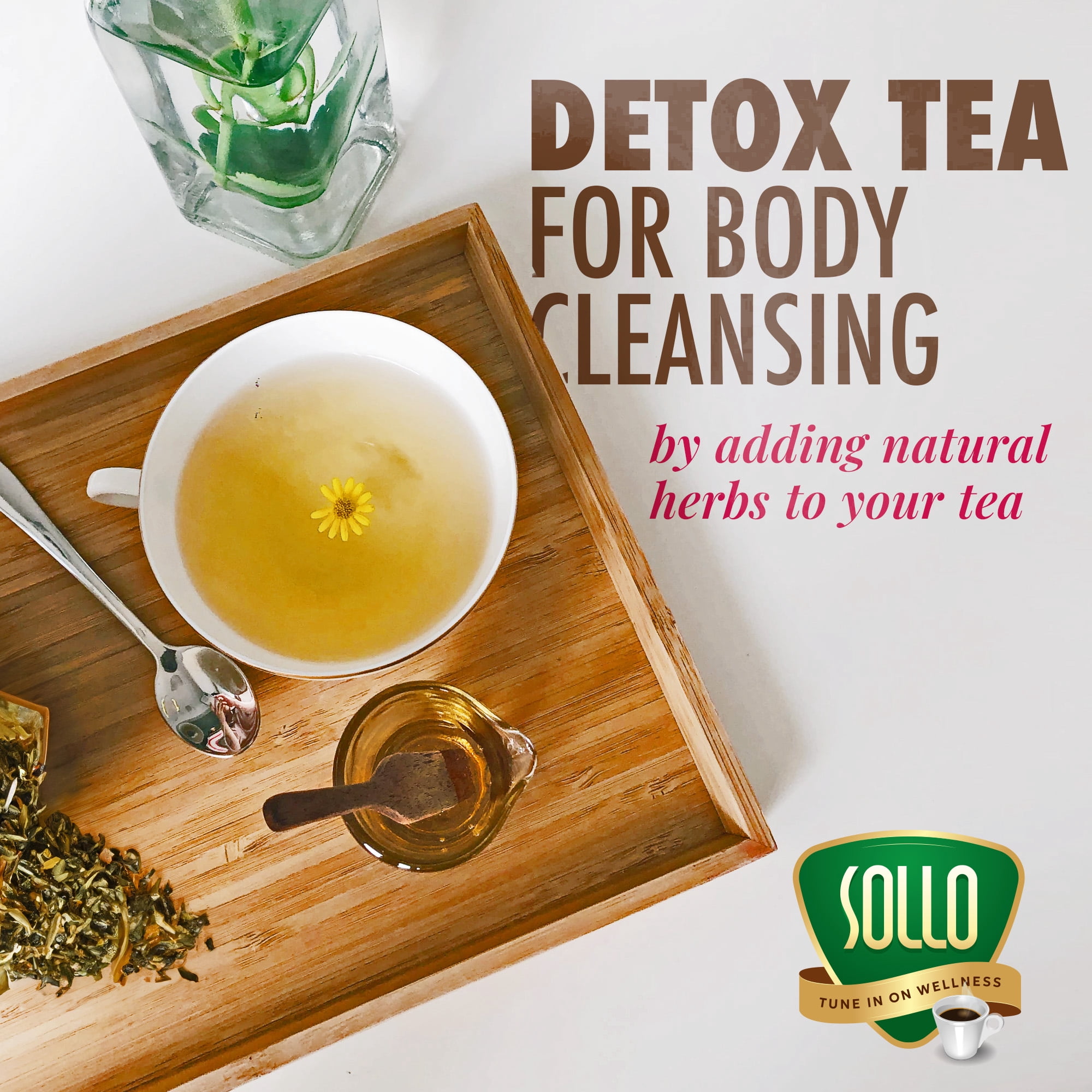SOLLO Detox Green Tea Pods with Milk Thistle, Acai, Vitamins & Ginger | Slimming & Cleansing Formula with Herbal Extracts, Compatible with Keurig 2.0 Brewers, 24 K-Cup